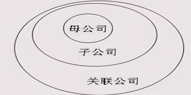 子公司是什么意思