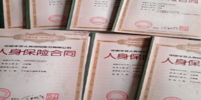 如何查询我的保单查询